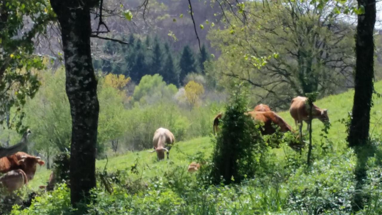 Combecave Bed and Breakfast Vabre-Tizac Εξωτερικό φωτογραφία